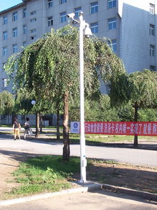 长春专业监控杆、信号灯杆、标志杆及龙门架生产厂家——灯柱灯杆全方位解析