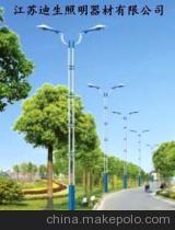 专业定制路灯灯杆 江苏迪生建设集团厂房供应与解决方案